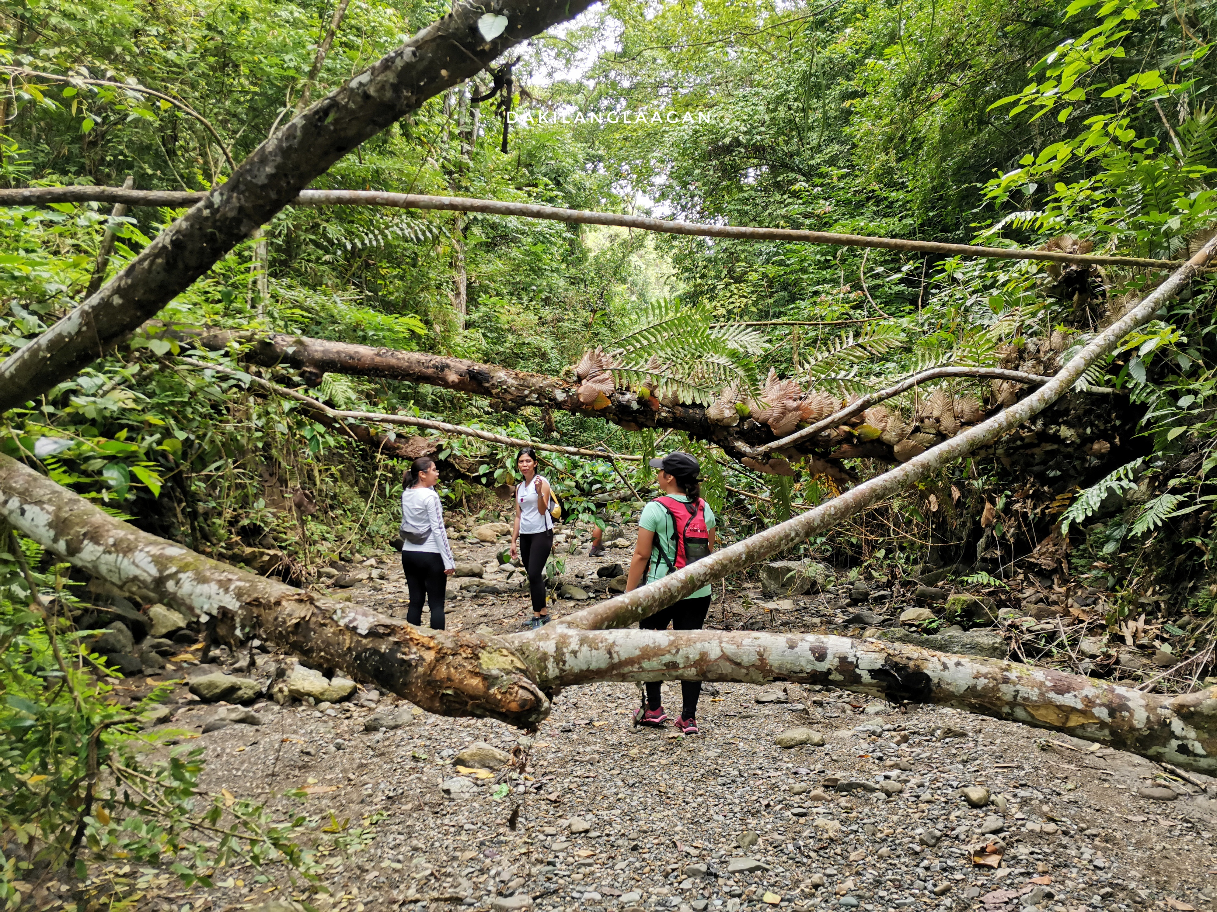 Spartan Trail: Farewell to Cebu City's Favorite Hiking Destination?