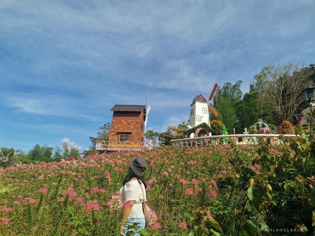 Sirao Flower Farm | Best Prenup Locations in Cebu | Dakilanglaagan