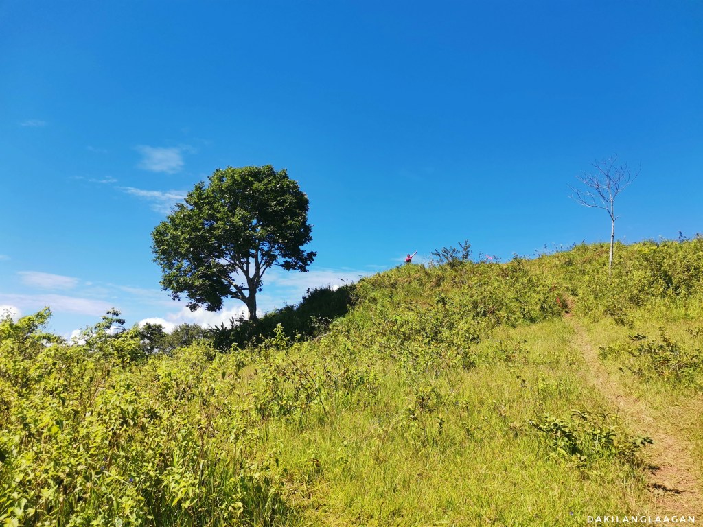 MagMa Trail Run, Cebu | Dakilanglaagan