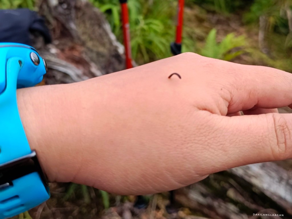 KD2M Traverse Hike, Mt. Kitanglad, Mt. Dulang-dulang, Mt. Maagnaw, Langcayugan, Philippines' Highest Mountains, Dakilanglaagan
