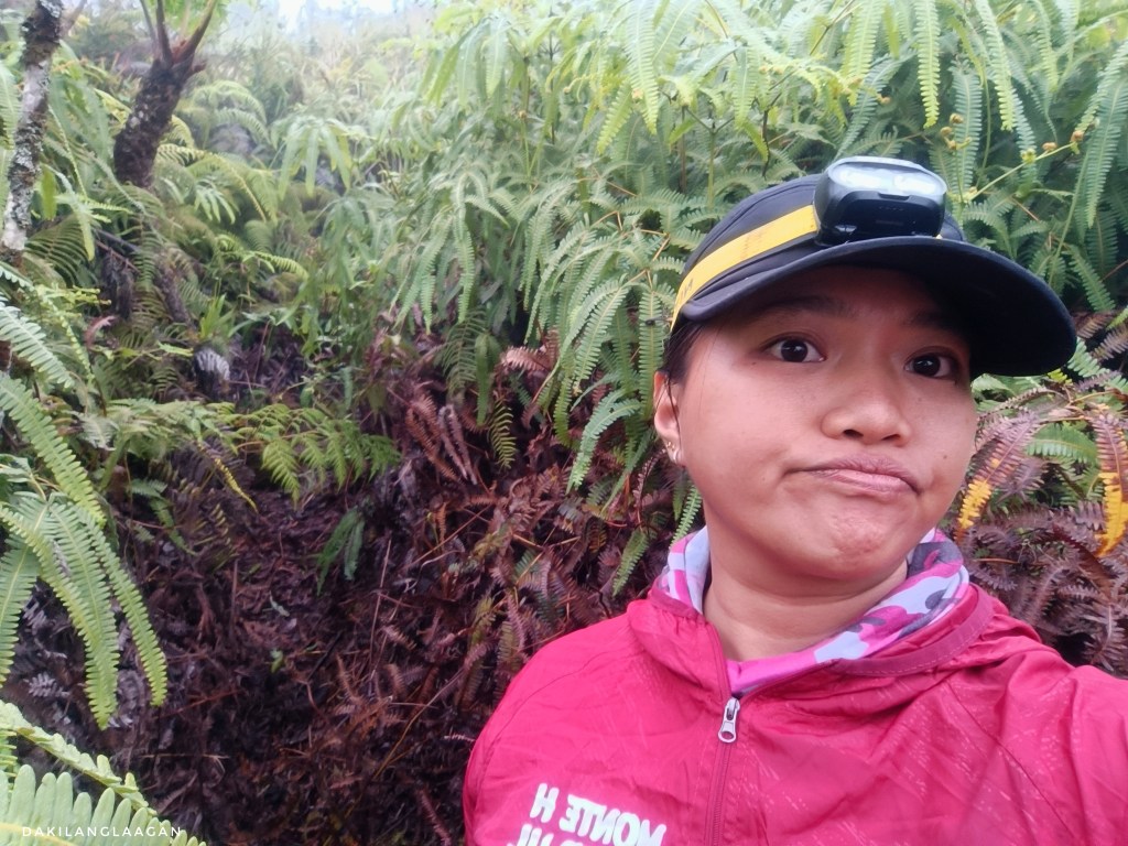 KD2M Traverse Hike, Mt. Kitanglad, Mt. Dulang-dulang, Mt. Maagnaw, Langcayugan, Philippines' Highest Mountains, Dakilanglaagan