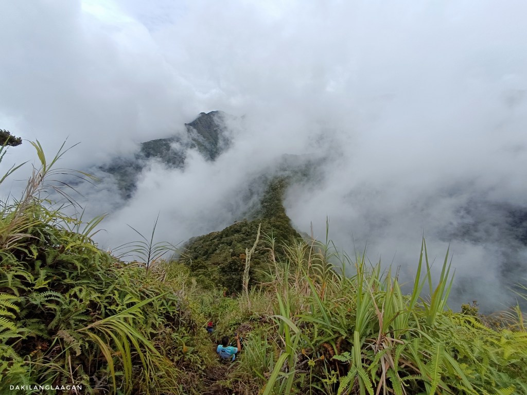 KD2M Traverse Hike, Mt. Kitanglad, Mt. Dulang-dulang, Mt. Maagnaw, Langcayugan, Philippines' Highest Mountains, Dakilanglaagan