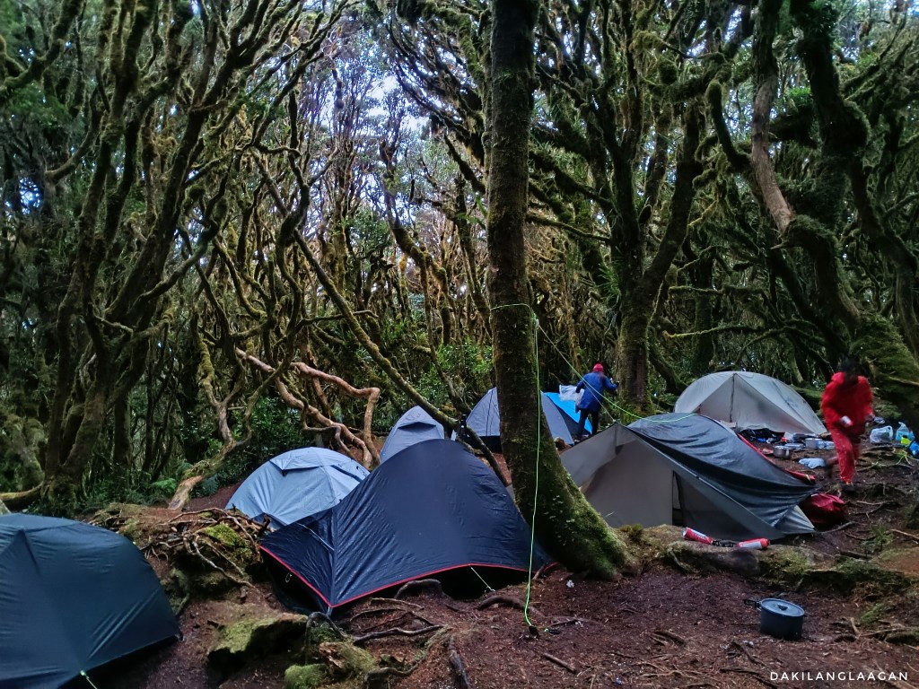 KD2M Traverse Hike, Mt. Kitanglad, Mt. Dulang-dulang, Mt. Maagnaw, Langcayugan, Philippines' Highest Mountains, Dakilanglaagan