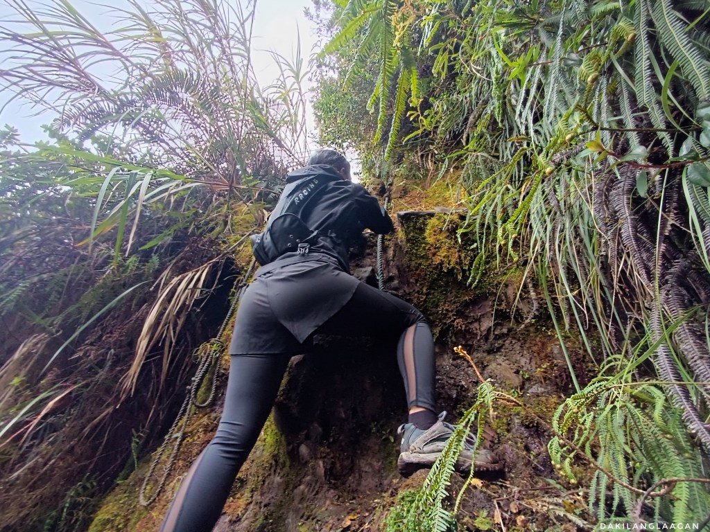 KD2M Traverse Hike, Mt. Kitanglad, Mt. Dulang-dulang, Mt. Maagnaw, Langcayugan, Philippines' Highest Mountains, Dakilanglaagan