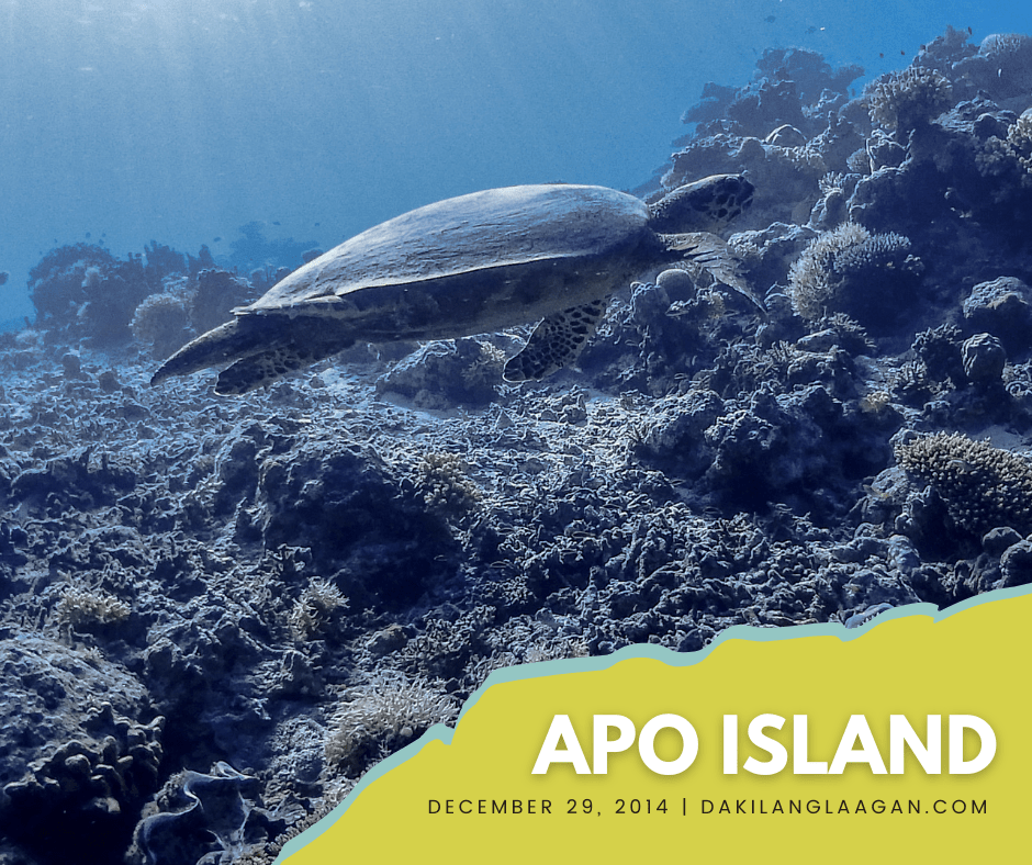Dumaguete and Apo Island Travel Guide 2024
