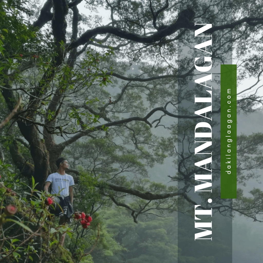 top 10 mountians to climb in Visayas, dakilanglaagan, hiking visayas, hiking in visayas, mountains in the visayas, major climb, mt mandalagan, tinagong-dagat