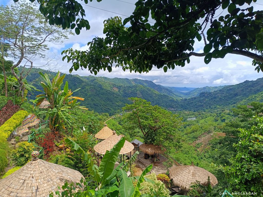 trendy cafe in cebu, best coffee shops in cebu city, best coffee in cebu, dakilanglaagan, chic cafe, cheesecake, le jardin lakeview