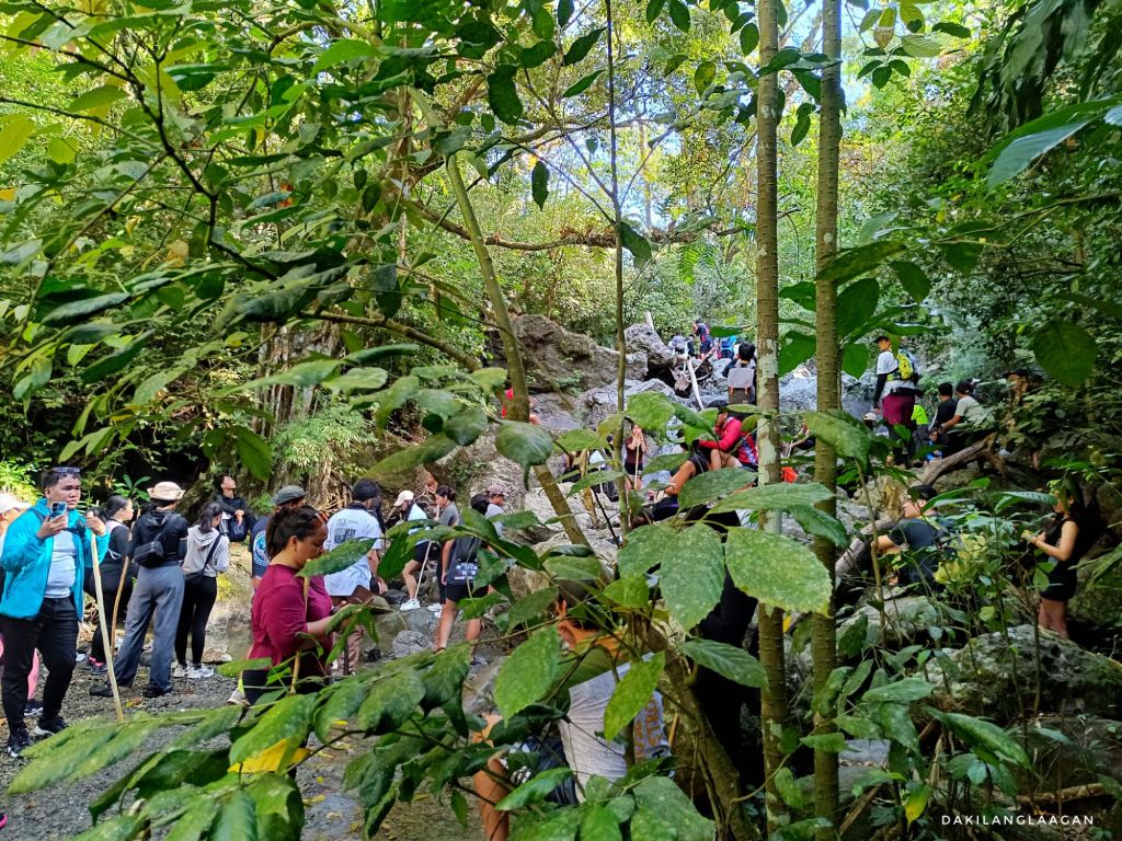 What Has Become of Starbuks and Spartan Trail